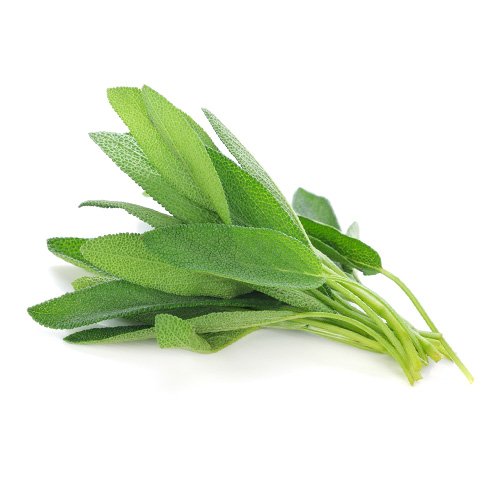 Sage Leaves 100g Kenya